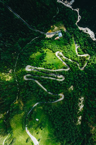 绿树和道路鸟瞰图